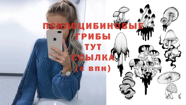 ешки Няндома
