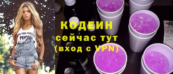 ешки Няндома