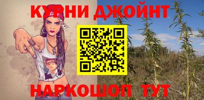 крисы Балахна