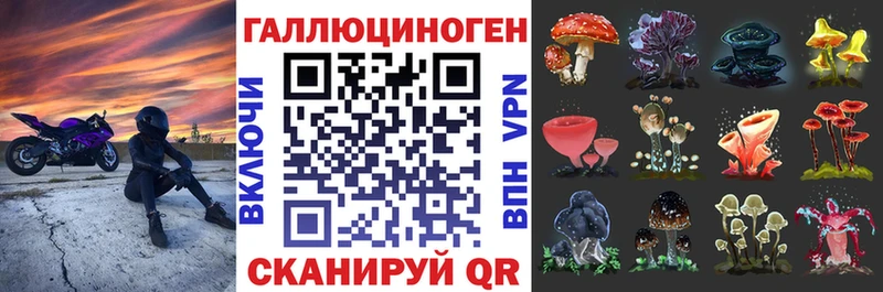 Галлюциногенные грибы Psilocybine cubensis  гидра сайт  Владимир 