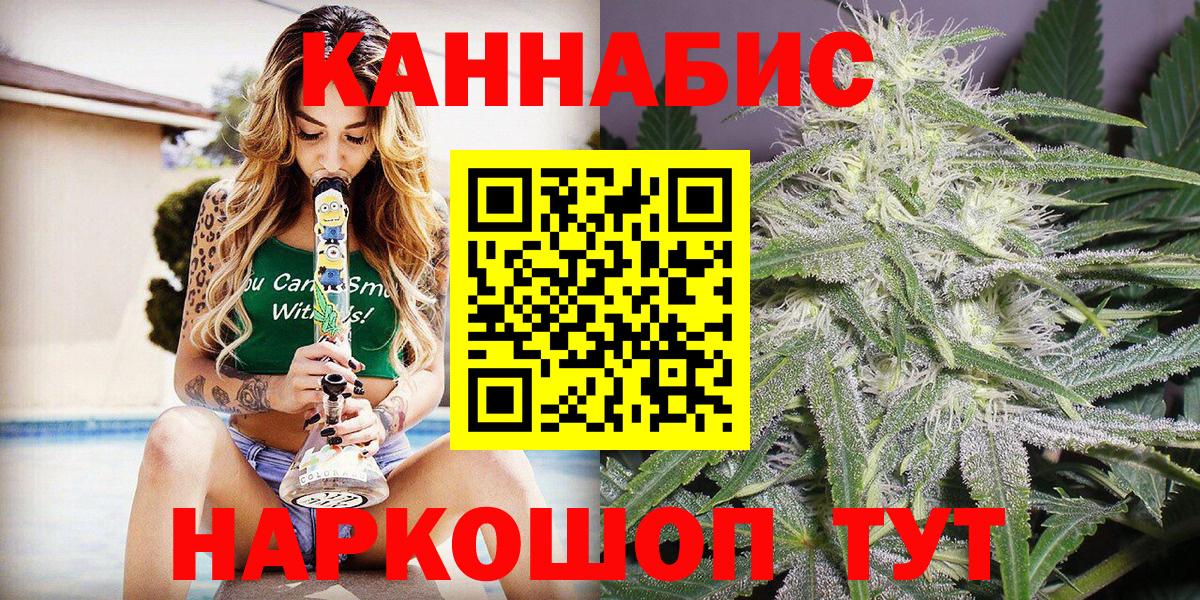 Канабис конопля Владимир