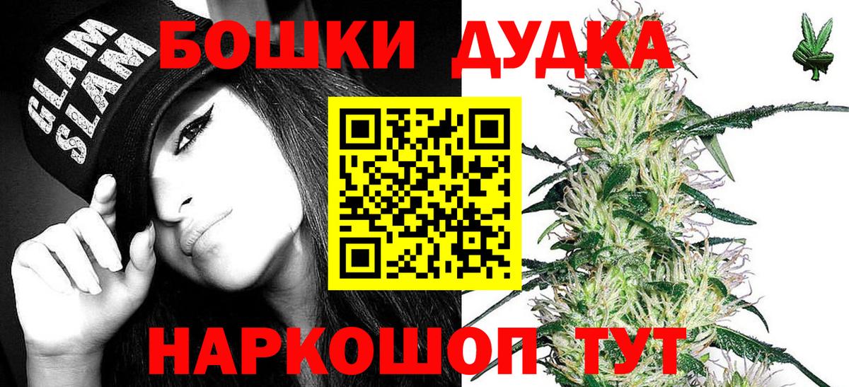 Марихуана сатива Владимир